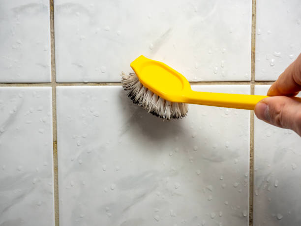 Mold Removal Process in Bagdad, FL