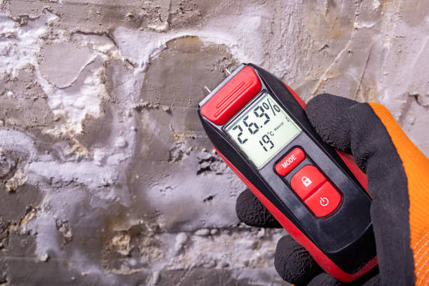 Best Mold Testing  in Bagdad, FL