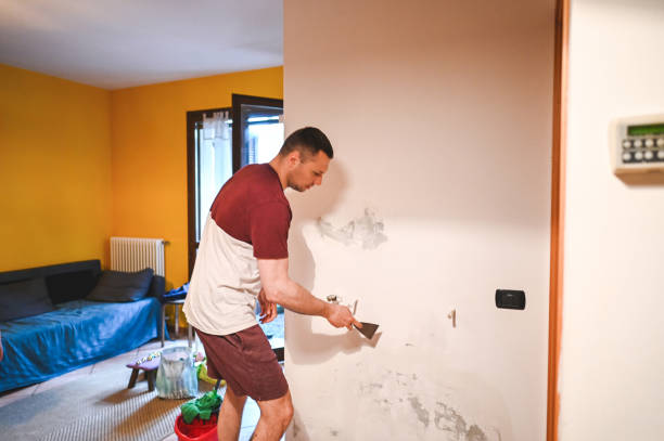 Best Water Damage Restoration  in Bagdad, FL