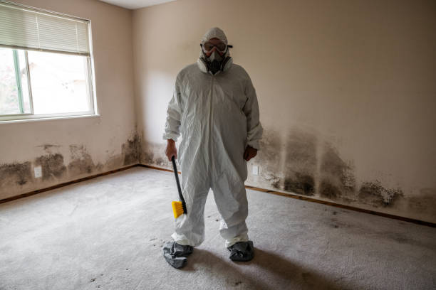 Best Mold Removal Process  in Bagdad, FL